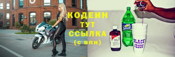 гашик Инсар