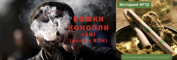 гашик Инсар