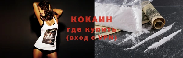 гашик Инсар