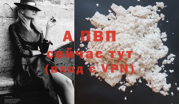 гашик Инсар
