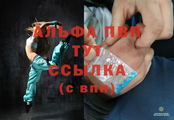 гашик Инсар