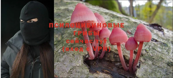 прущий лед Иннополис