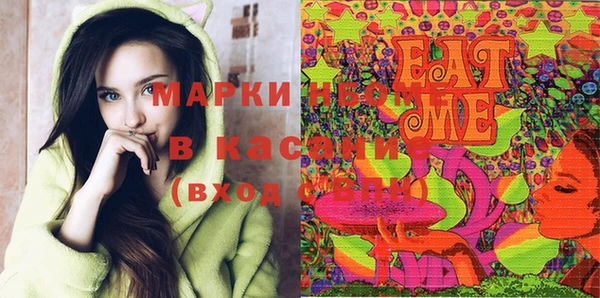 гашик Инсар