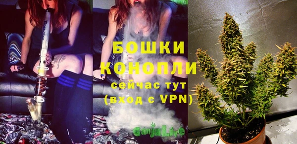 гашик Инсар
